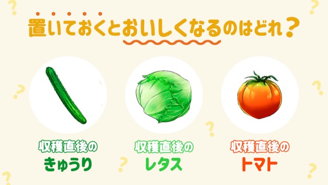 ［野菜の保存＆おいしさ］鮮度だけでは決まらない、食べ頃とは？