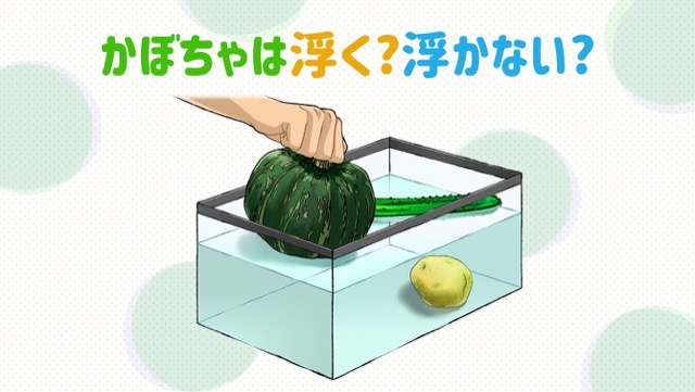 自由研究の実験に！水に浮く野菜or沈む野菜は、何で決まる？