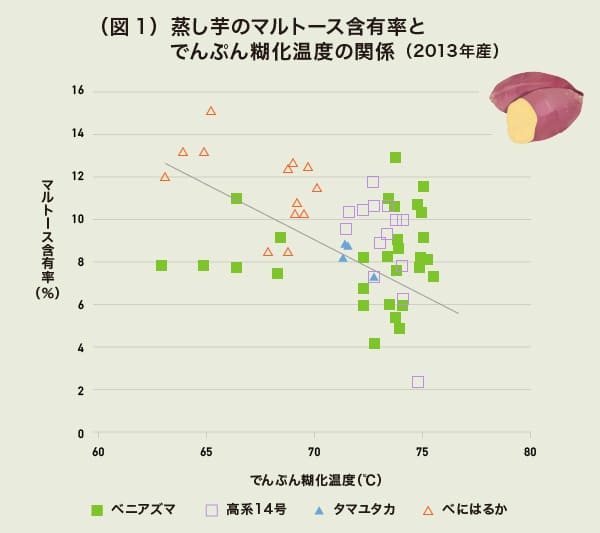 蒸し芋のマルトース含有率とでんぷん糊化温度の関係の図