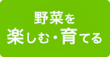 育てる 栽培方法、家庭菜園