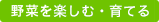 野菜を育てる